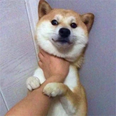 Hamza Shehbaz avatar